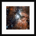 NGC 3603 by Anonymous
