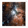 NGC 3603 by Anonymous