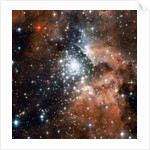 NGC 3603 by Anonymous