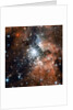 NGC 3603 by Anonymous