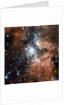 NGC 3603 by Anonymous