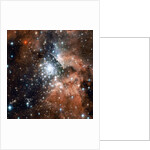 NGC 3603 by Anonymous
