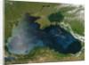 Low Earth Orbit View of the Black Sea by Anonymous