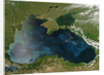 Low Earth Orbit View of the Black Sea by Anonymous