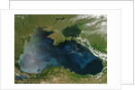 Low Earth Orbit View of the Black Sea by Anonymous