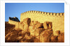 Great Wall by Anonymous