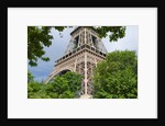 Eiffel Tower and Trees by Anonymous