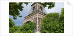 Eiffel Tower and Trees by Anonymous