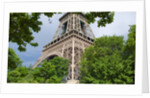 Eiffel Tower and Trees by Anonymous