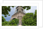 Eiffel Tower and Trees by Anonymous