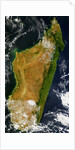 Satellite View of Madagascar by Anonymous