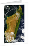 Satellite View of Madagascar by Anonymous