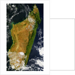 Satellite View of Madagascar by Anonymous