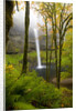 Waterfall by Anonymous