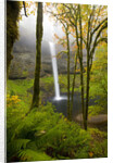 Waterfall by Anonymous