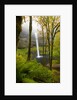 Waterfall by Anonymous
