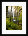 Waterfall by Anonymous