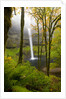 Waterfall by Anonymous