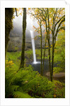 Waterfall by Anonymous