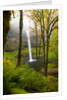 Waterfall by Anonymous