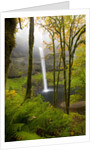 Waterfall by Anonymous