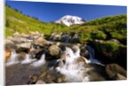 Waterfall and Mt. Rainier by Anonymous