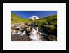 Waterfall and Mt. Rainier by Anonymous