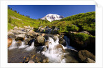 Waterfall and Mt. Rainier by Anonymous