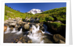 Waterfall and Mt. Rainier by Anonymous