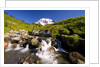 Waterfall and Mt. Rainier by Anonymous