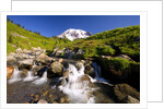 Waterfall and Mt. Rainier by Anonymous