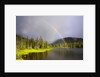 Rainbow Over Reflection Lakes in Mt. Rainier National Park by Anonymous