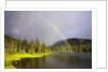 Rainbow Over Reflection Lakes in Mt. Rainier National Park by Anonymous