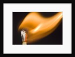 Match on Fire by Anonymous