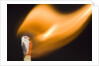 Match on Fire by Anonymous