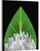 Green City by Anonymous