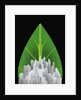 Green City by Anonymous