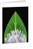 Green City by Anonymous
