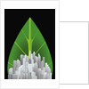 Green City by Anonymous