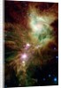 Section of the Christmas Tree Cluster by Anonymous