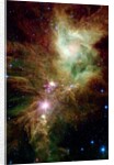Section of the Christmas Tree Cluster by Anonymous