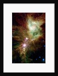 Section of the Christmas Tree Cluster by Anonymous