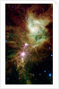 Section of the Christmas Tree Cluster by Anonymous
