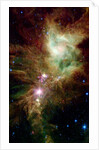 Section of the Christmas Tree Cluster by Anonymous
