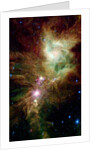 Section of the Christmas Tree Cluster by Anonymous