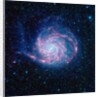 Pinwheel Galaxy by Anonymous