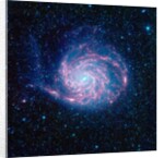Pinwheel Galaxy by Anonymous