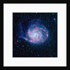 Pinwheel Galaxy by Anonymous