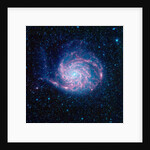 Pinwheel Galaxy by Anonymous