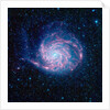 Pinwheel Galaxy by Anonymous